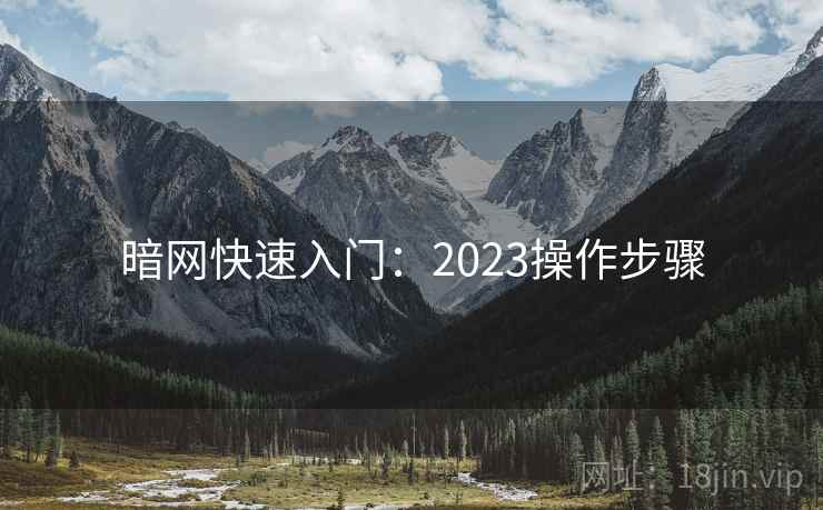 暗网快速入门：2023操作步骤