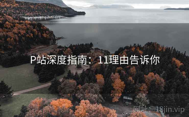 P站深度指南:11理由告诉你 P站深度指南:11理由告诉你