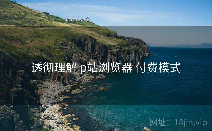 透彻理解 p站浏览器 付费模式