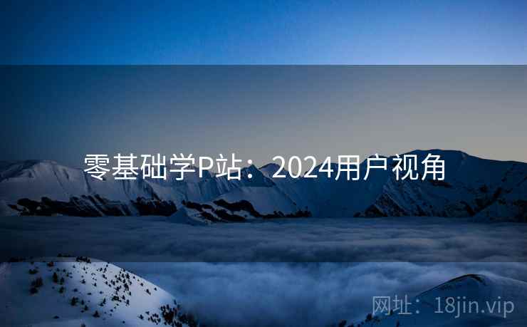 零基础学P站：2024用户视角