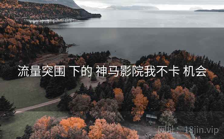 流量突围 下的 神马影院我不卡 机会 流量突围 下的 神马影院我不卡 机会