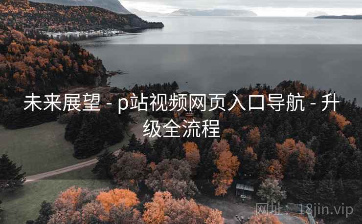未来展望 - p站视频网页入口导航 - 升级全流程