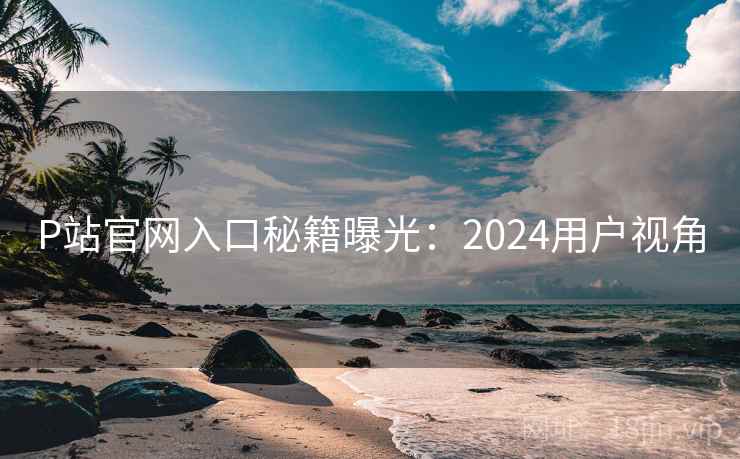 P站官网入口秘籍曝光：2024用户视角